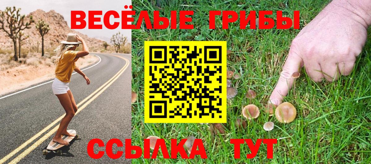 Галлюциногенные грибы прущие грибы Еманжелинск